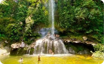 Cachoeira caindo em piscina natural cercada de mata