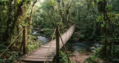 Passarela de madeira na mata do Santuário Vagafogo