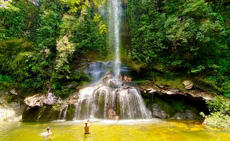 Cachoeira caindo em piscina natural cercada de mata