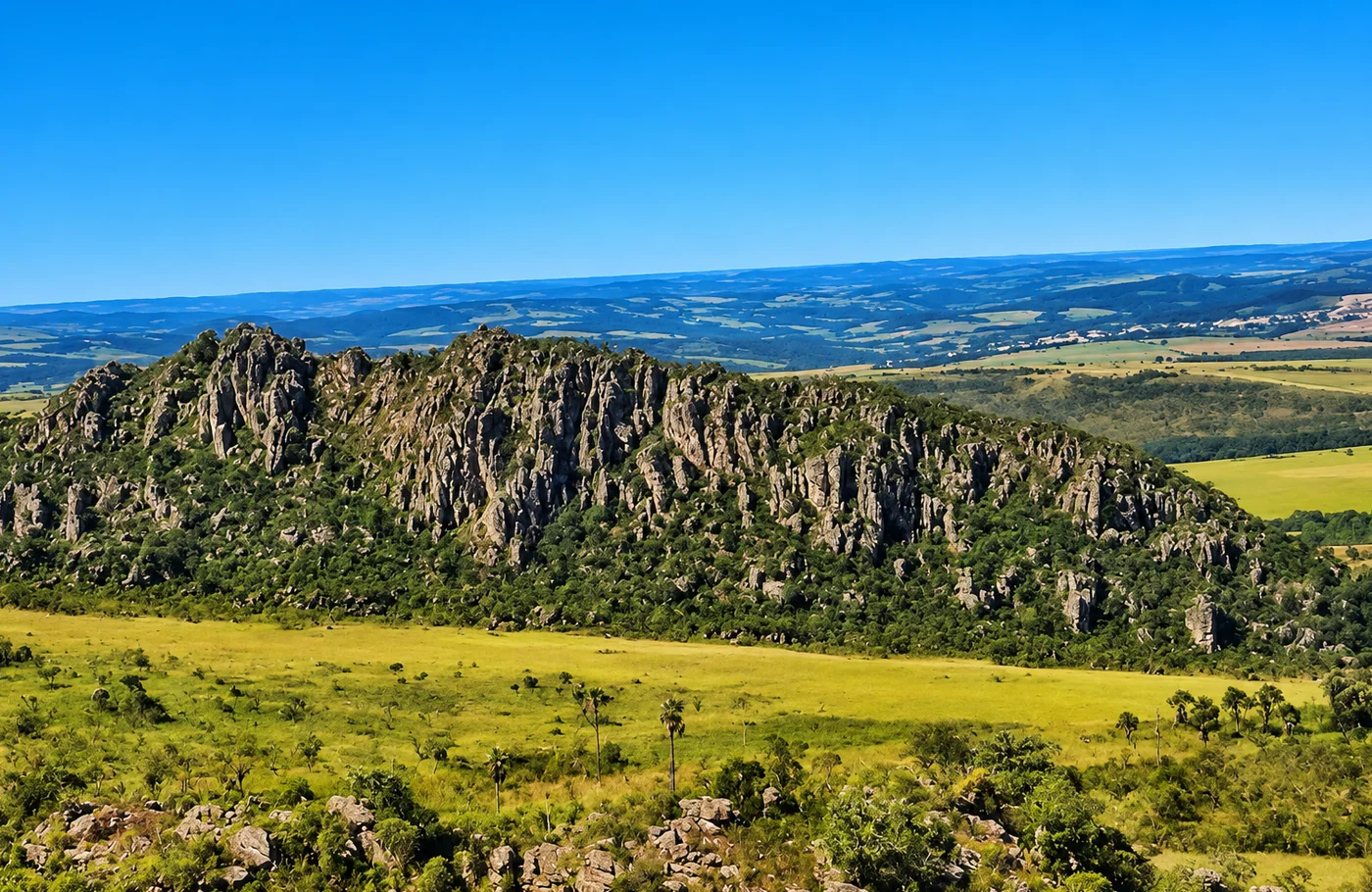 Serra dos Pireneus vista de longe, com campos do Cerrado em primeiro plano